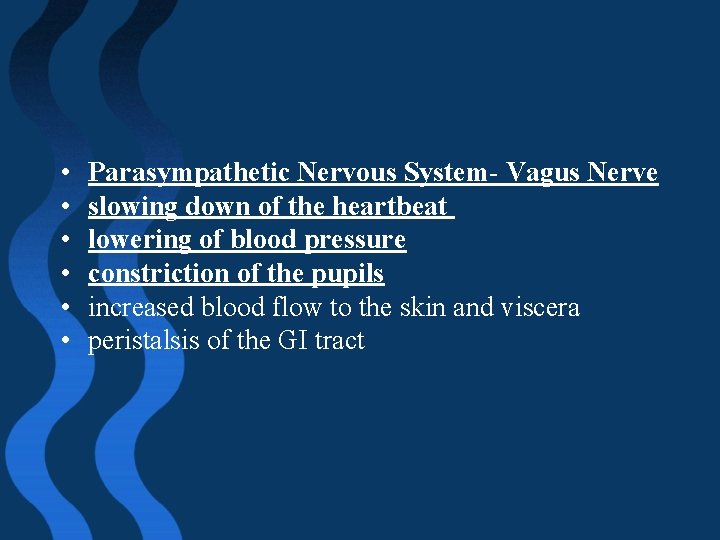  • • • Parasympathetic Nervous System- Vagus Nerve slowing down of the heartbeat