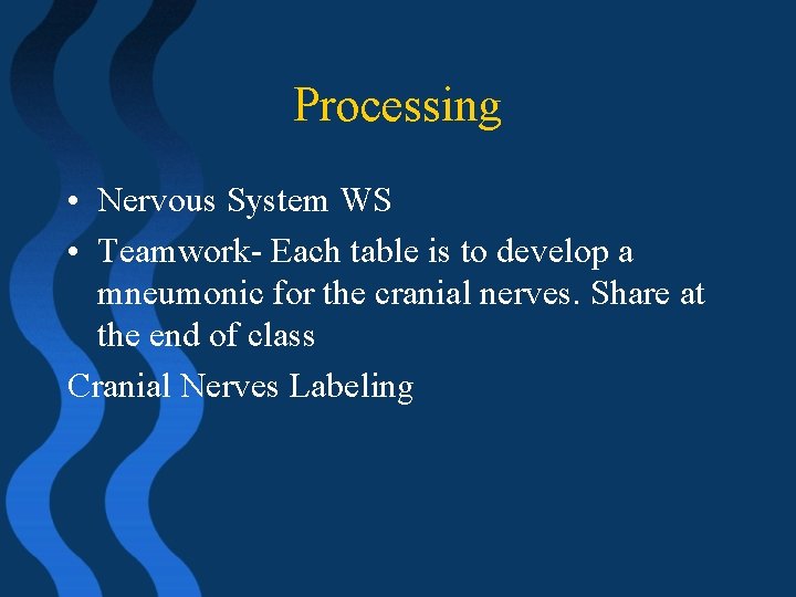 Processing • Nervous System WS • Teamwork- Each table is to develop a mneumonic