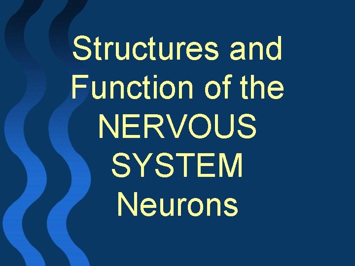 Structures and Function of the NERVOUS SYSTEM Neurons 