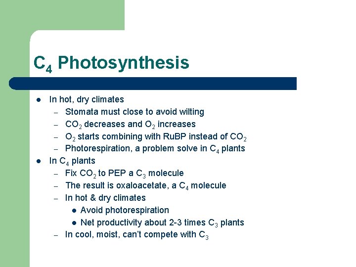 C 4 Photosynthesis l l In hot, dry climates – Stomata must close to