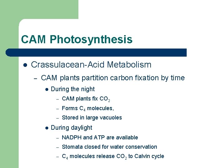 CAM Photosynthesis l Crassulacean-Acid Metabolism – CAM plants partition carbon fixation by time l