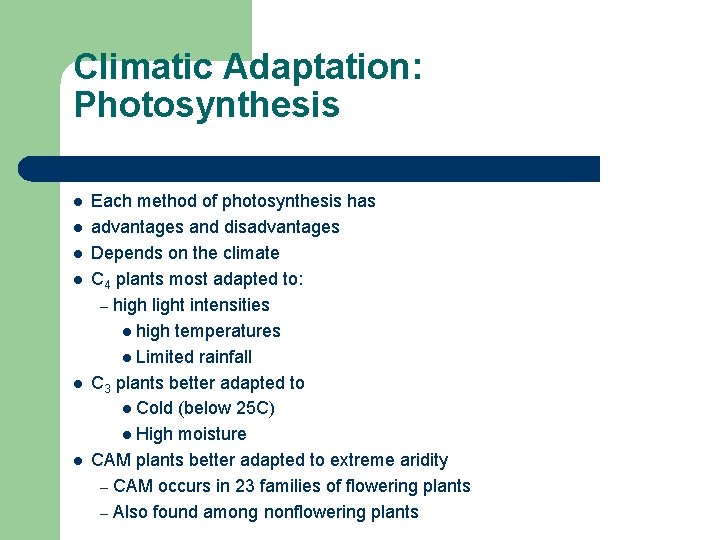 Climatic Adaptation: Photosynthesis l l l Each method of photosynthesis has advantages and disadvantages