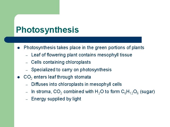 Photosynthesis l l Photosynthesis takes place in the green portions of plants – Leaf