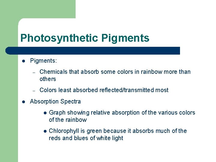 Photosynthetic Pigments l l Pigments: – Chemicals that absorb some colors in rainbow more