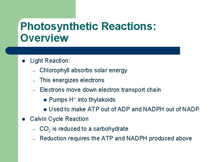Photosynthetic Reactions: Overview l l Light Reaction: – Chlorophyll absorbs solar energy – This