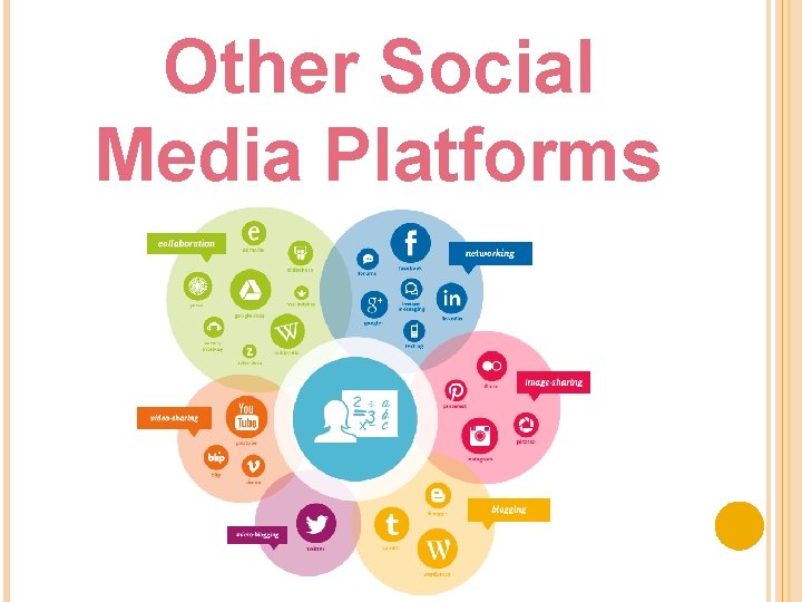 Other Social Media Platforms 