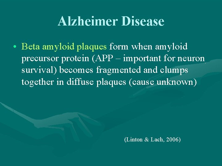 Alzheimer Disease • Beta amyloid plaques form when amyloid precursor protein (APP – important