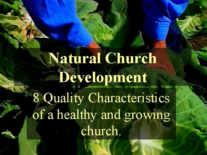 Natural Church Development 8 Quality Characteristics of a healthy and growing church. 