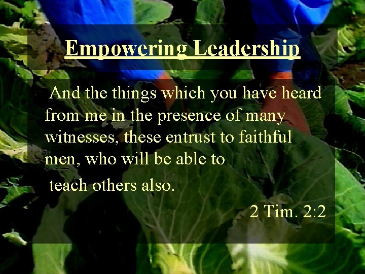 Empowering Leadership And the things which you have heard from me in the presence