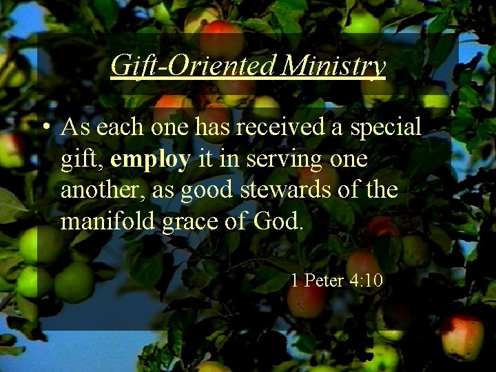Gift-Oriented Ministry • As each one has received a special gift, employ it in