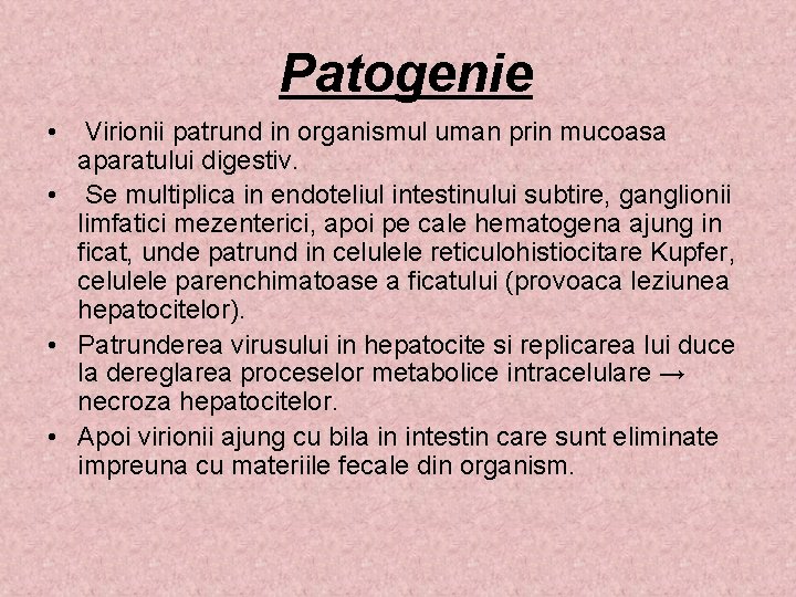  Patogenie • Virionii patrund in organismul uman prin mucoasa aparatului digestiv. • Se