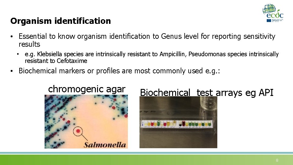 Organism identification • Essential to know organism identification to Genus level for reporting sensitivity