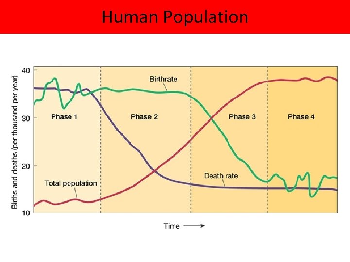 Human Population 