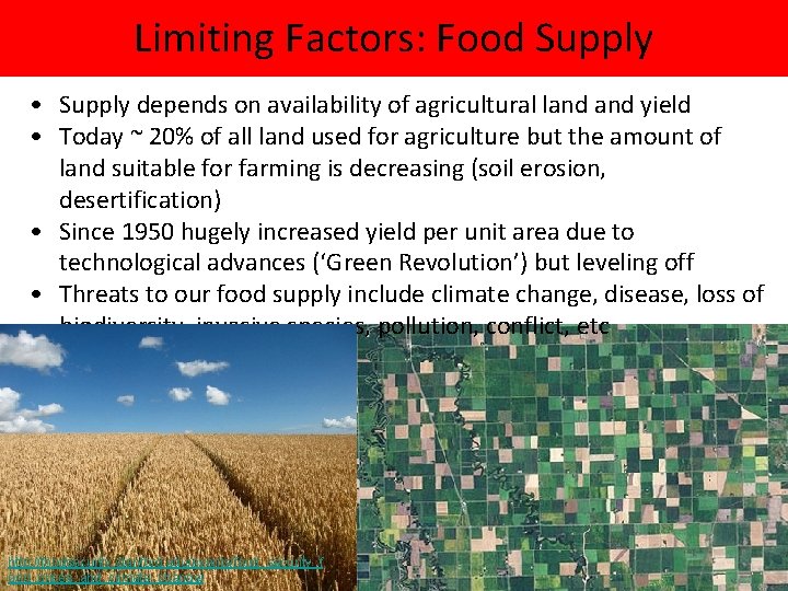 Limiting Factors: Food Supply • Supply depends on availability of agricultural land yield •