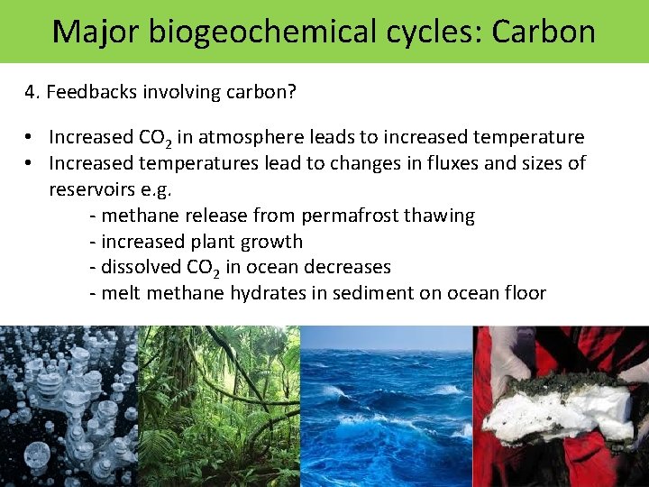 Major biogeochemical cycles: Carbon 4. Feedbacks involving carbon? • Increased CO 2 in atmosphere