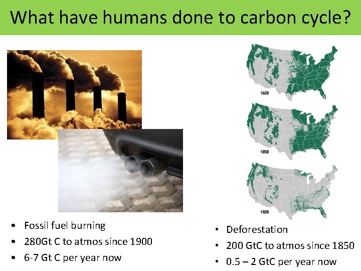 What have humans done to carbon cycle? • Fossil fuel burning • 280 Gt
