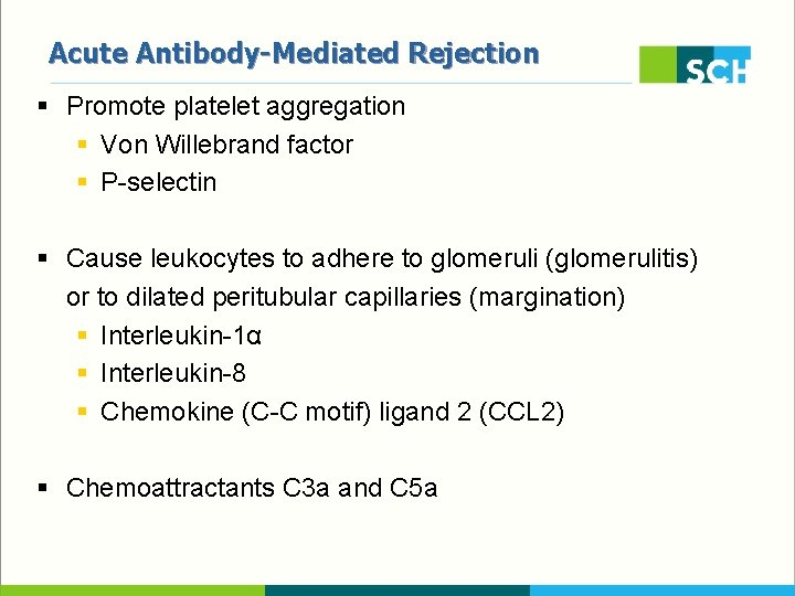 Acute Antibody-Mediated Rejection § Promote platelet aggregation § Von Willebrand factor § P-selectin §