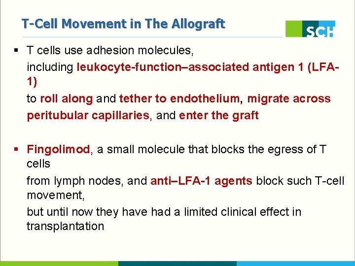 T-Cell Movement in The Allograft § T cells use adhesion molecules, including leukocyte-function–associated antigen