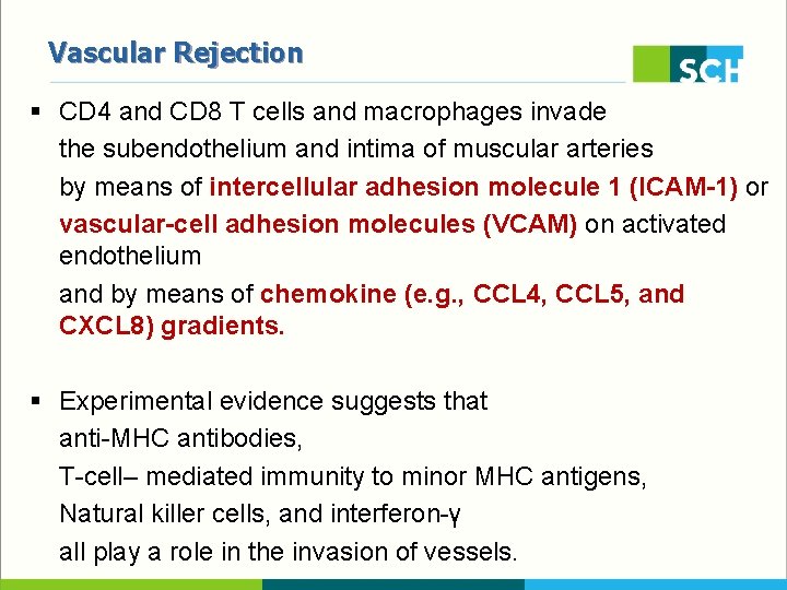 Vascular Rejection § CD 4 and CD 8 T cells and macrophages invade the