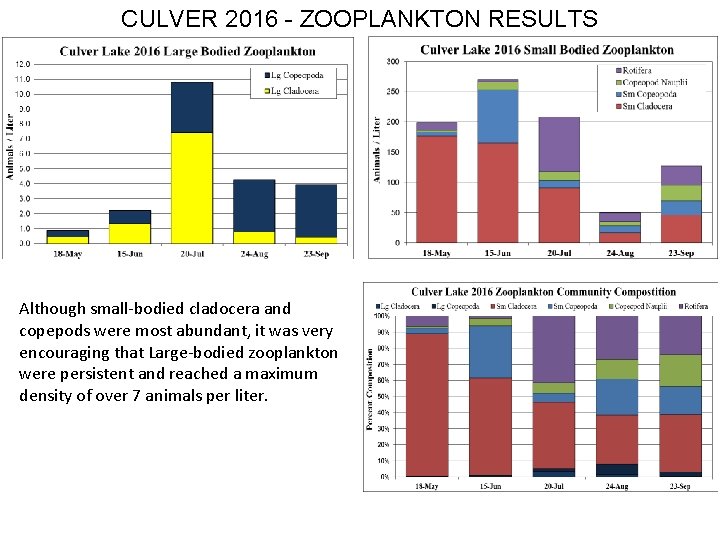 CULVER 2016 - ZOOPLANKTON RESULTS Although small-bodied cladocera and copepods were most abundant, it