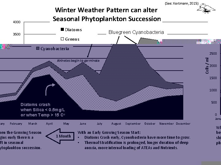 Winter Weather Pattern can alter Seasonal Phytoplankton Succession 4000 Diatoms 3500 Bluegreen Cyanobacteria Greens