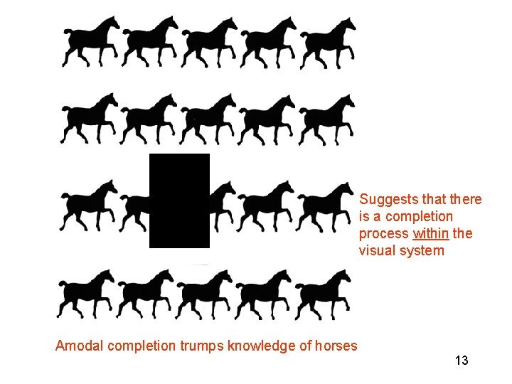 Suggests that there is a completion process within the visual system Amodal completion trumps