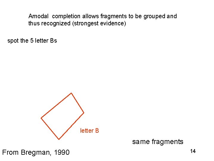 Amodal completion allows fragments to be grouped and thus recognized (strongest evidence) spot the