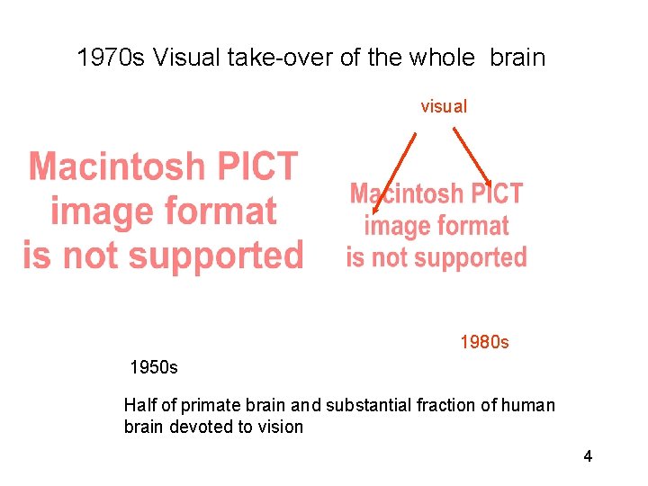 1970 s Visual take-over of the whole brain visual 1980 s 1950 s Half