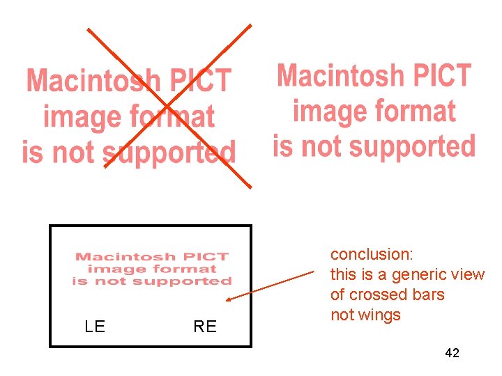 LE RE conclusion: this is a generic view of crossed bars not wings 42