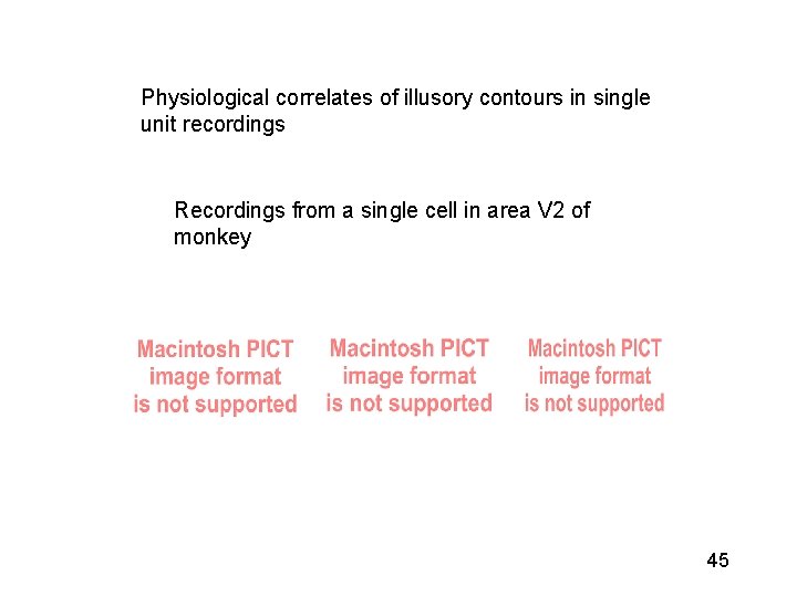 Physiological correlates of illusory contours in single unit recordings Recordings from a single cell