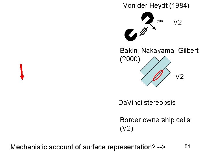 Von der Heydt (1984) yes V 2 Bakin, Nakayama, Gilbert (2000) V 2 Da.