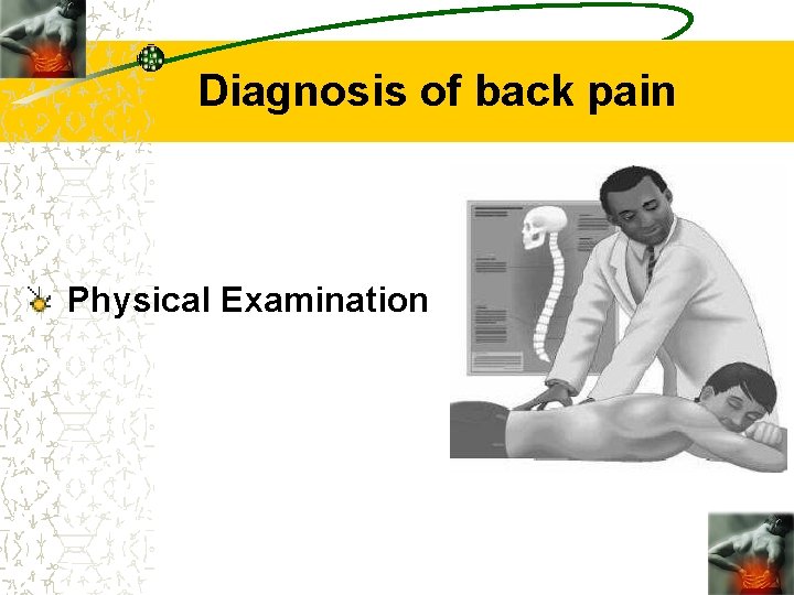 Diagnosis of back pain Physical Examination 