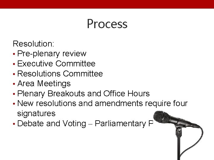 Process Resolution: • Pre-plenary review • Executive Committee • Resolutions Committee • Area Meetings