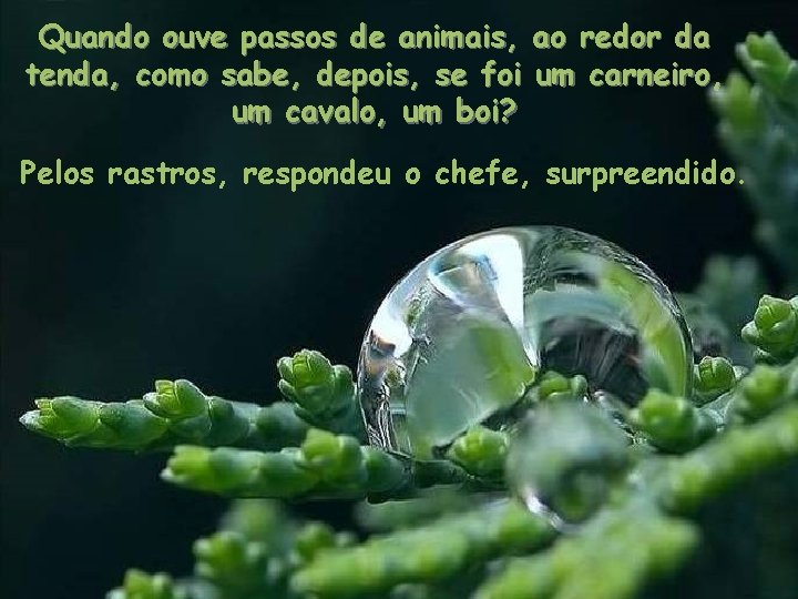 Quando ouve passos de animais, ao redor da tenda, como sabe, depois, se foi