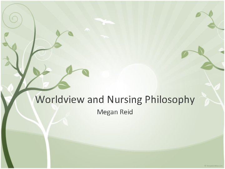 Worldview and Nursing Philosophy Megan Reid 
