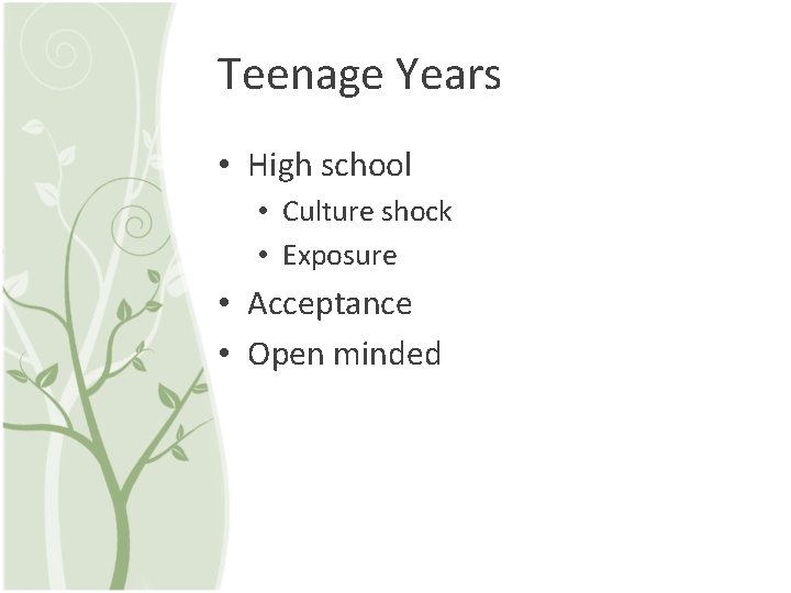 Teenage Years • High school • Culture shock • Exposure • Acceptance • Open