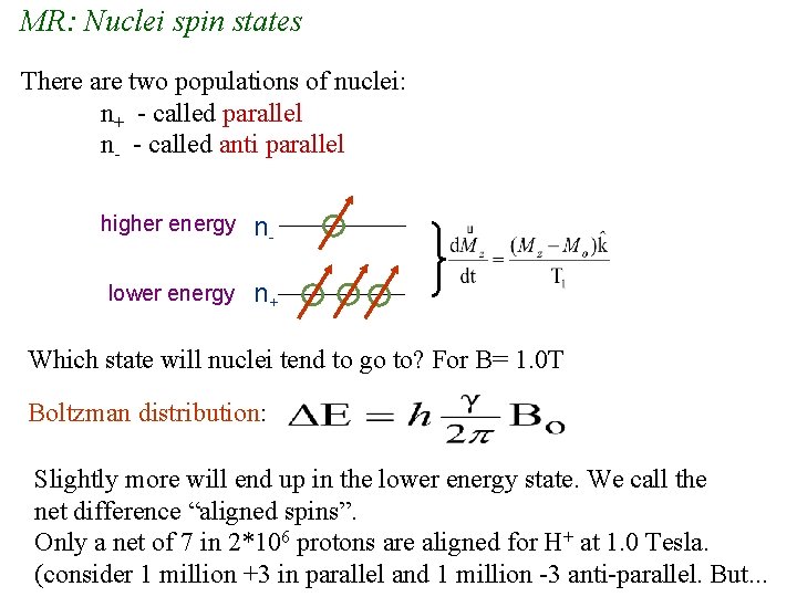 MR: Nuclei spin states There are two populations of nuclei: n+ - called parallel