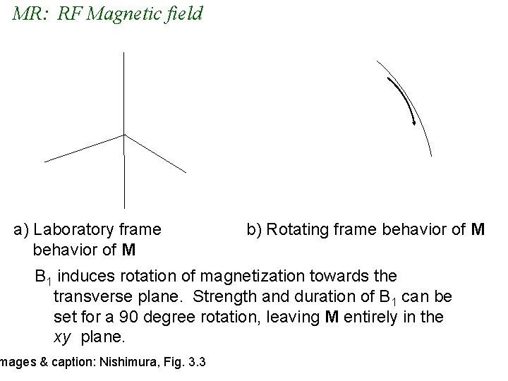 MR: RF Magnetic field a) Laboratory frame behavior of M b) Rotating frame behavior