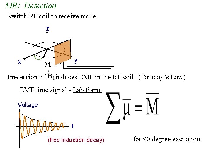 MR: Detection Switch RF coil to receive mode. z x y M Precession of