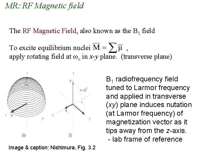 MR: RF Magnetic field The RF Magnetic Field, also known as the B 1