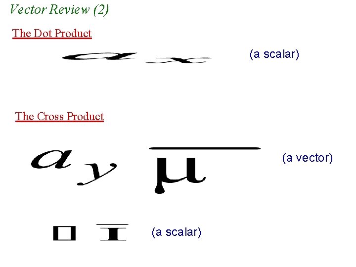 Vector Review (2) The Dot Product (a scalar) The Cross Product (a vector) (a