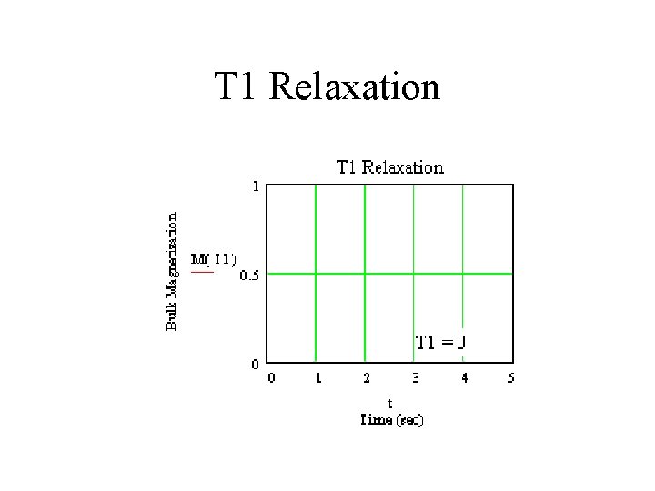 T 1 Relaxation 