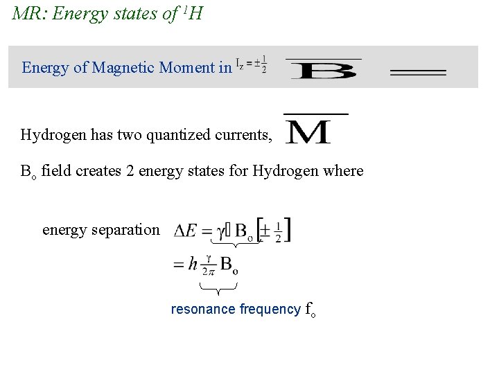 MR: Energy states of 1 H Energy of Magnetic Moment in Hydrogen has two