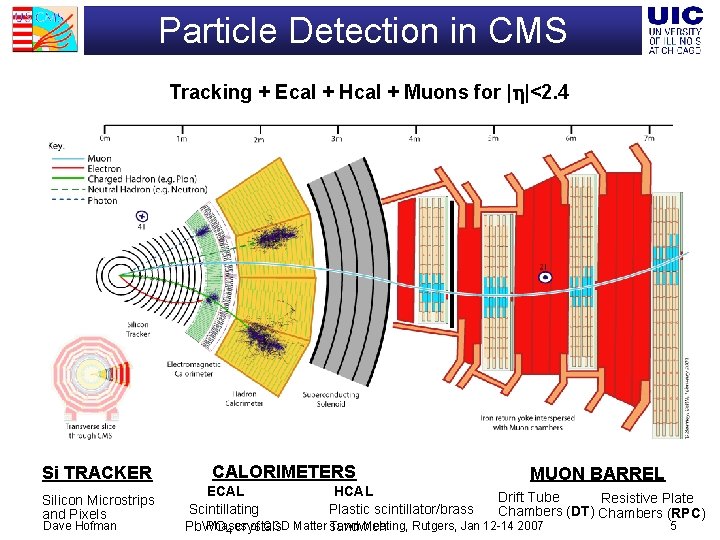 Particle Detection in CMS Tracking + Ecal + Hcal + Muons for | |<2.