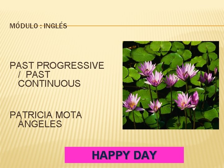 MÓDULO : INGLÉS PAST PROGRESSIVE / PAST CONTINUOUS PATRICIA MOTA ÁNGELES HAPPY DAY 