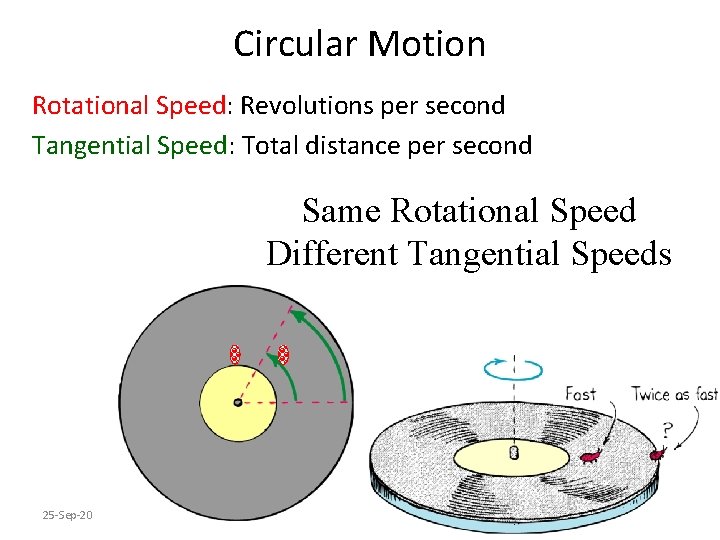 Circular Motion Rotational Speed: Revolutions per second Tangential Speed: Total distance per second Same