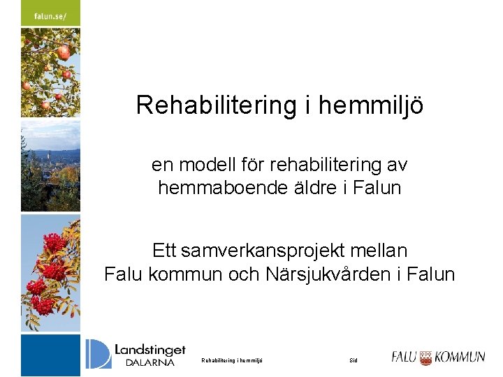 Rehabilitering i hemmiljö en modell för rehabilitering av hemmaboende äldre i Falun Ett samverkansprojekt