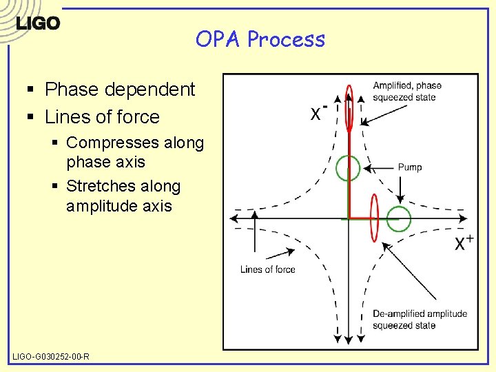 OPA Process § Phase dependent § Lines of force § Compresses along phase axis