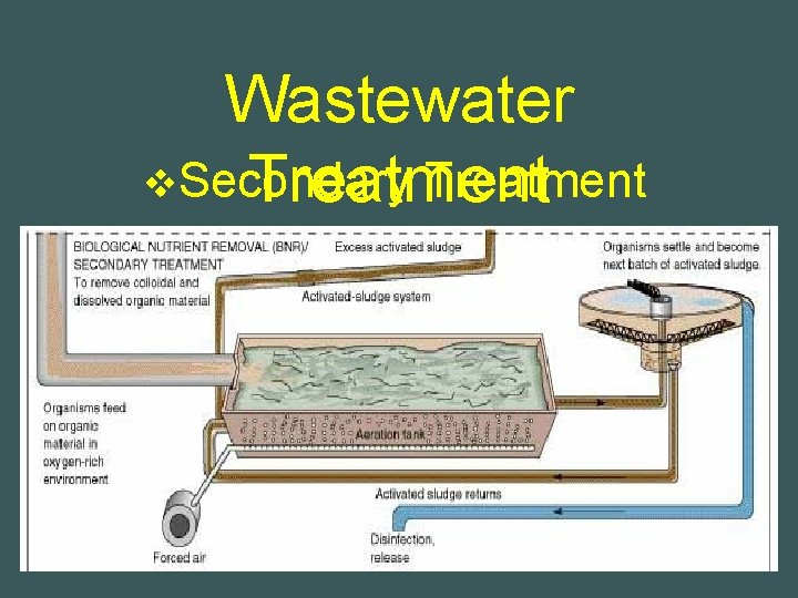 Wastewater v. Secondary Treatment 