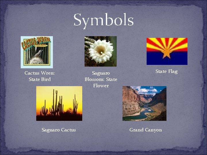 Symbols Cactus Wren: State Bird Saguaro Cactus Saguaro Blossom: State Flower State Flag Grand
